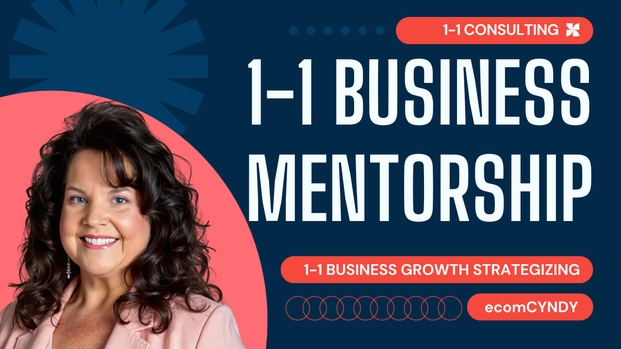 1-1 Business Mentorship